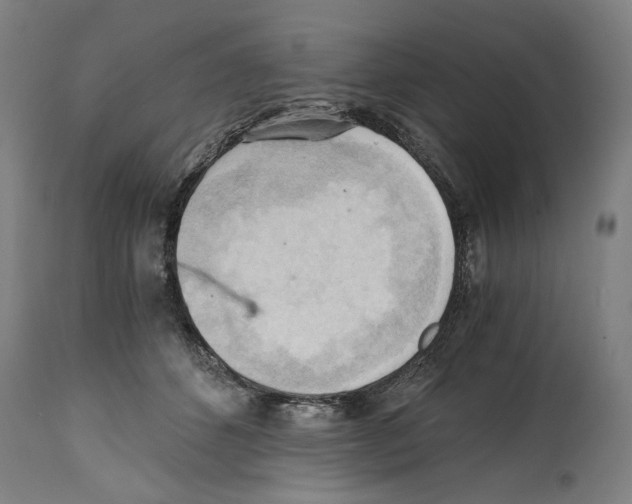 X0000114390512200911131345