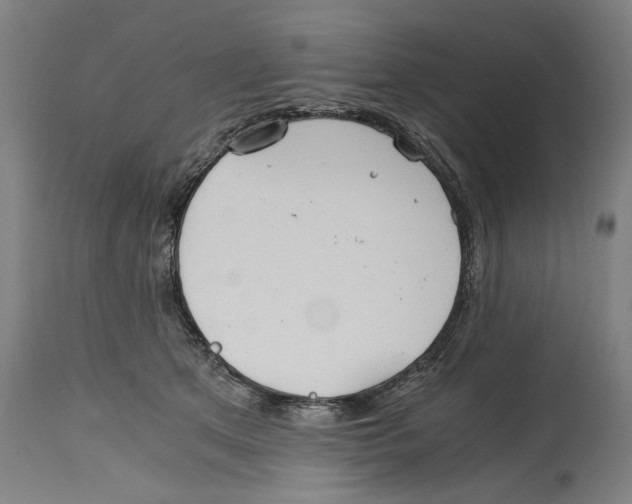 X0000114390513200911131345