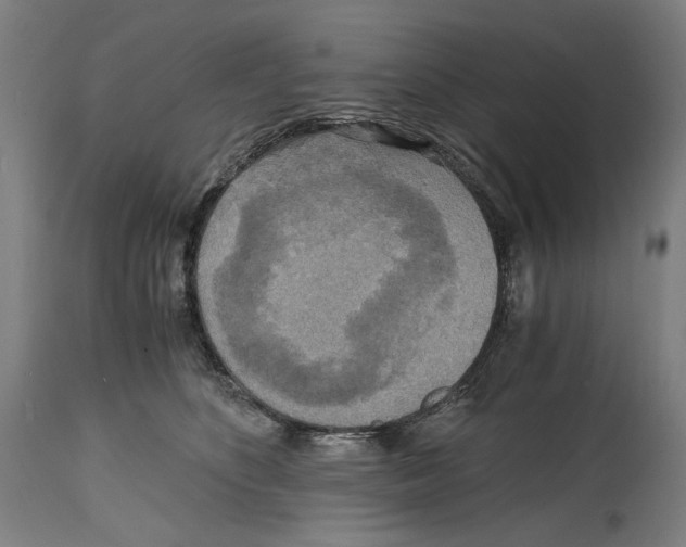 X0000114390516200911131345