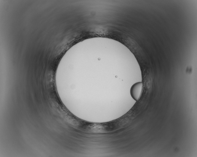 X0000114390518200911131345