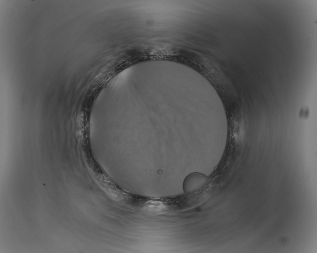 X0000114390519200911131345