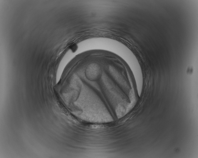 X0000114390520200911131345