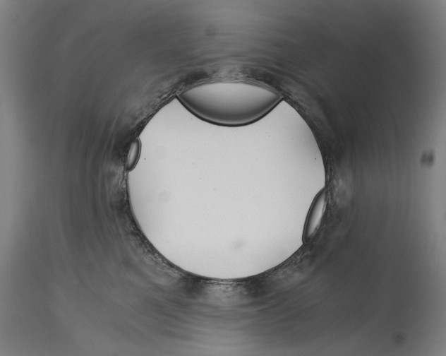 X0000114390521200911131345