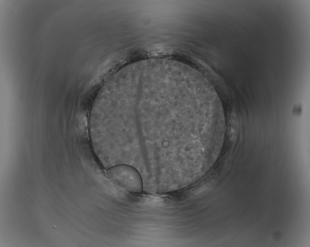 X0000114390523200911131345