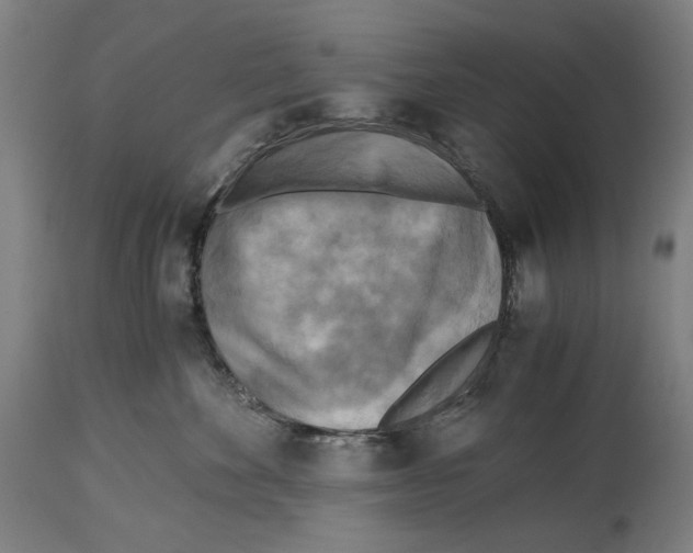 X0000114390524200911131345