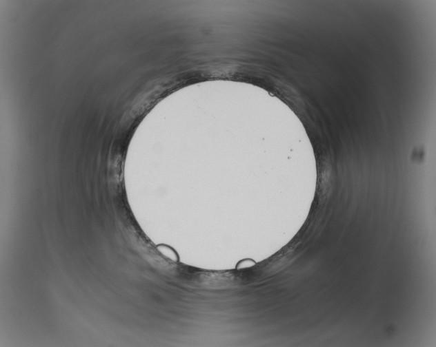 X0000114390525200911131345