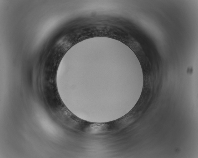 X0000114390526200911131345