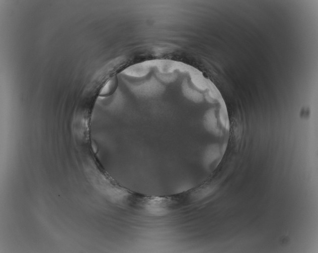 X0000114390527200911131345