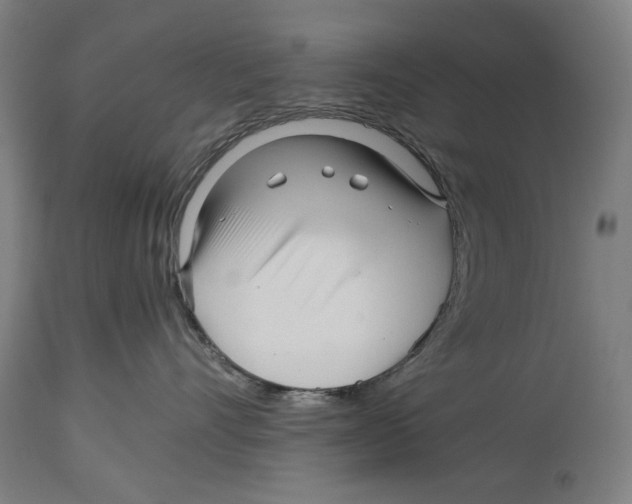 X0000114390528200911131345