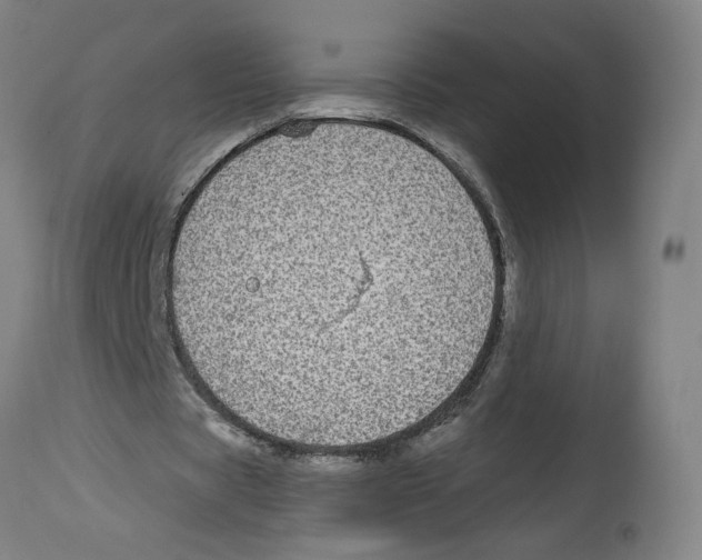 X0000114390529200911131345