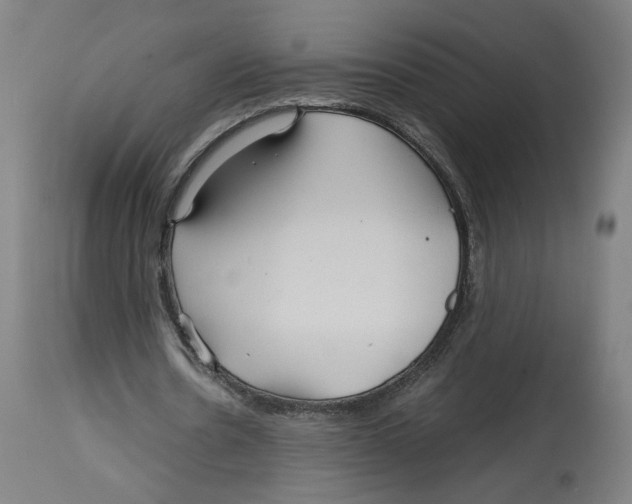 X0000114390530200911131345