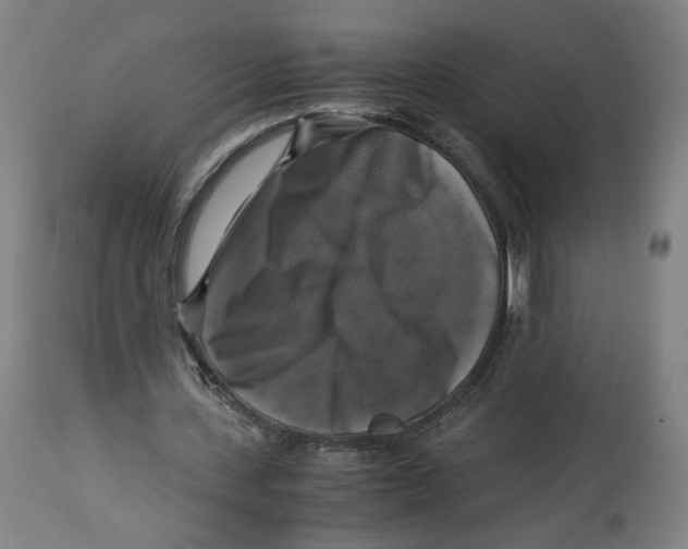 X0000114390531200911131345