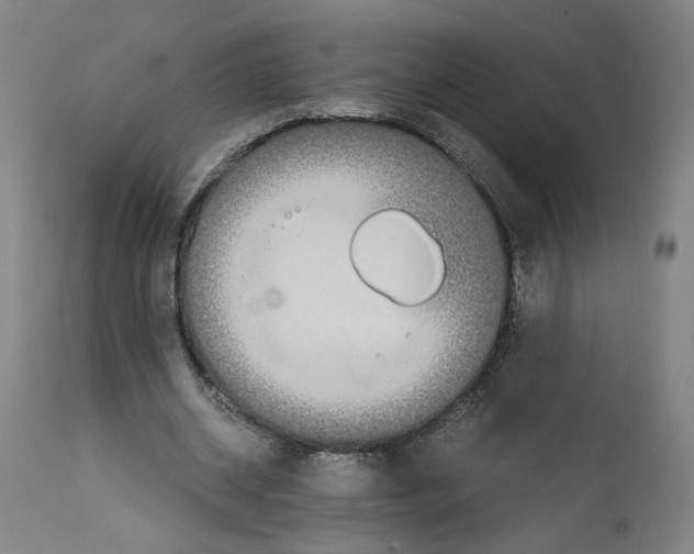 X0000114390534200911131345