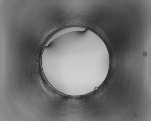 X0000114390538200911131345