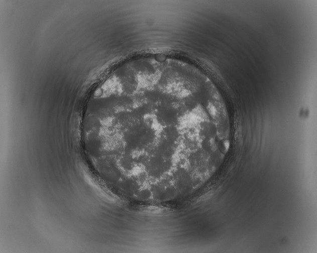 X0000114390542200911131345