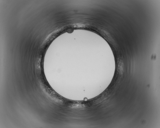 X0000114390543200911131345