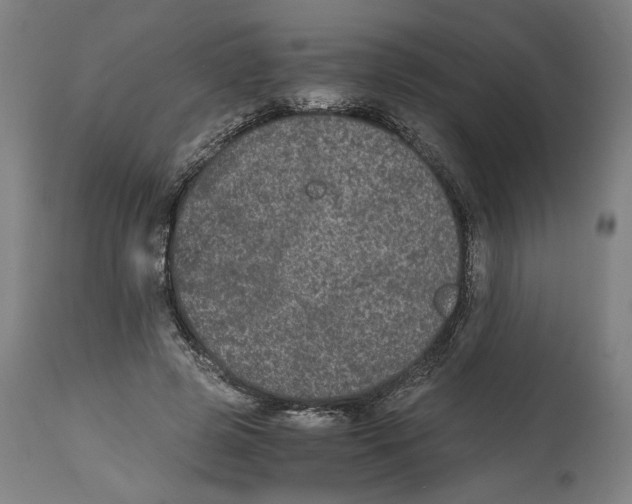 X0000114390545200911131345