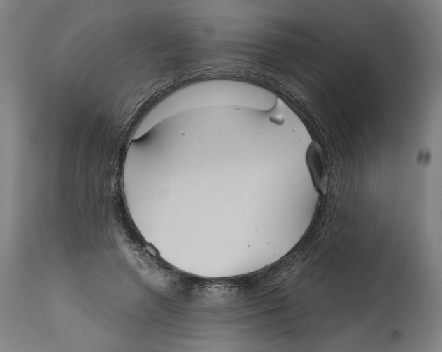 X0000114390546200911131345