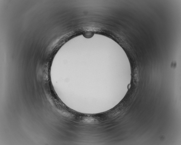 X0000114390547200911131345