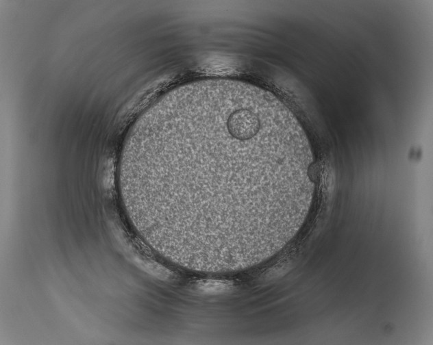 X0000114390549200911131345