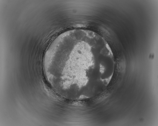 X0000114390550200911131345