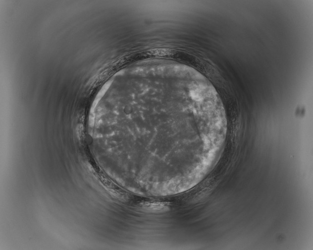 X0000114390553200911131345