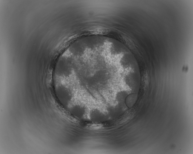 X0000114390554200911131345