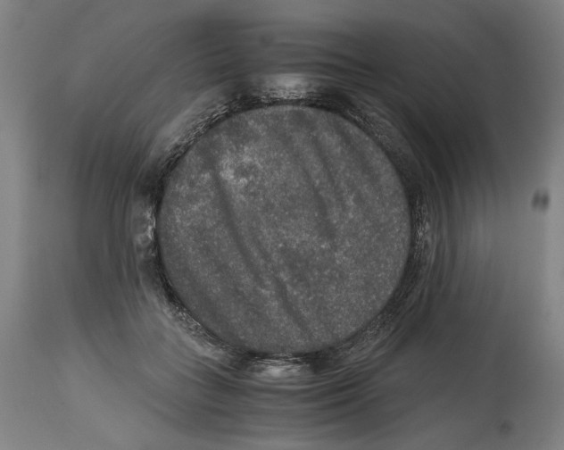 X0000114390555200911131345