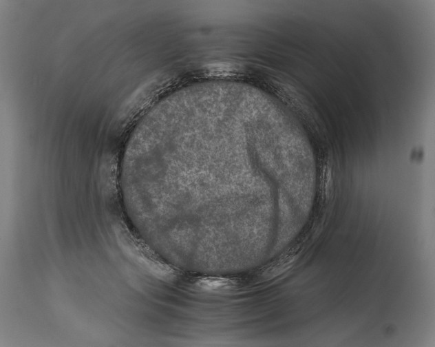 X0000114390557200911131345