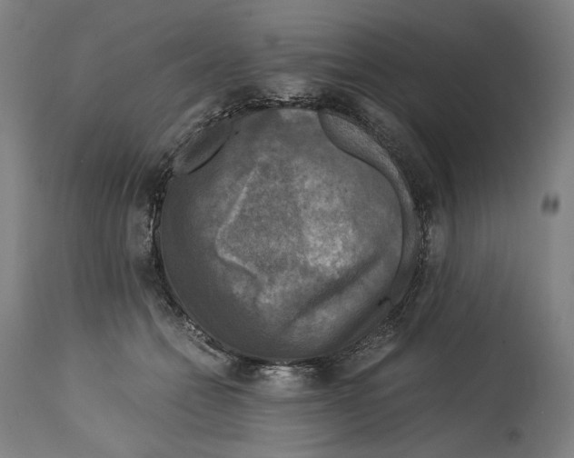 X0000114390558200911131345