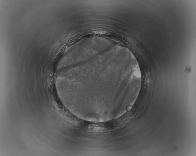 X0000114390559200911131345