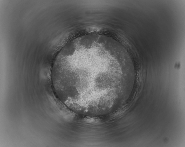 X0000114390561200911131345