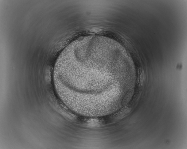 X0000114390562200911131345