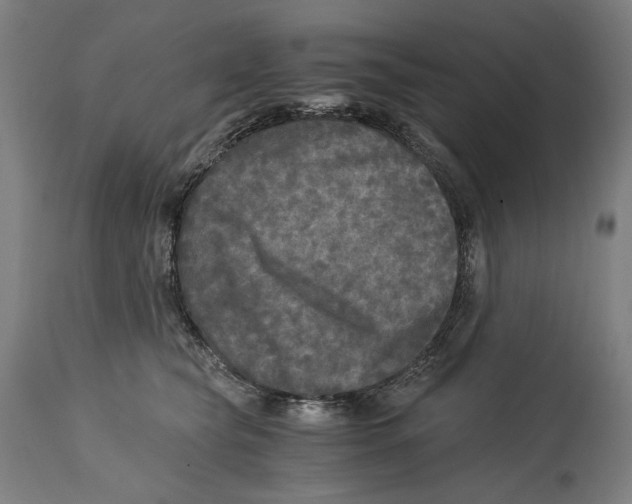 X0000114390565200911131345