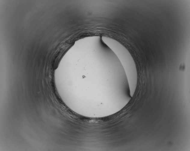 X0000114390566200911131345