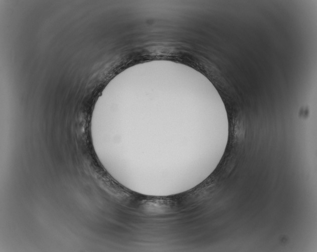 X0000114390567200911131345