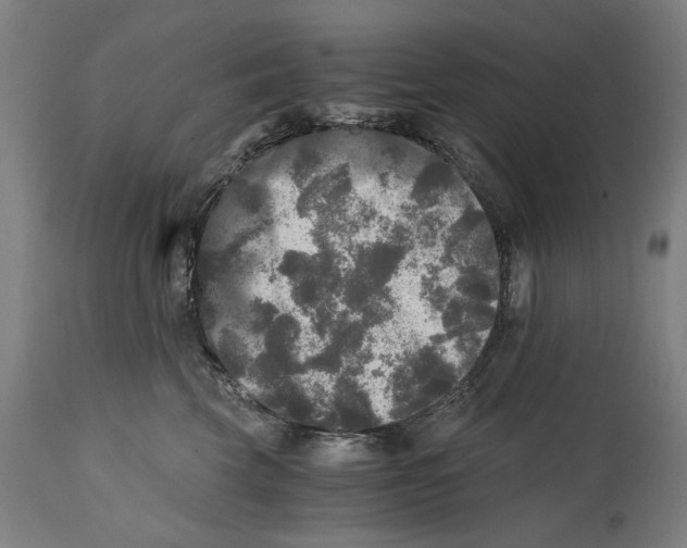 X0000114390569200911131345