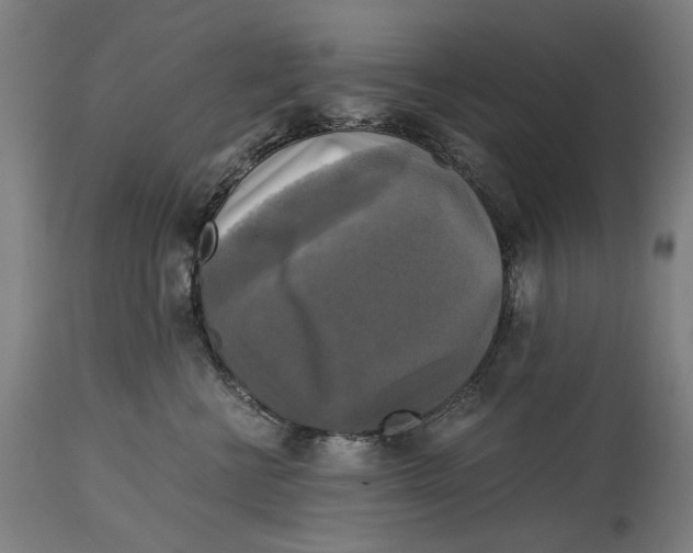 X0000114390570200911131345