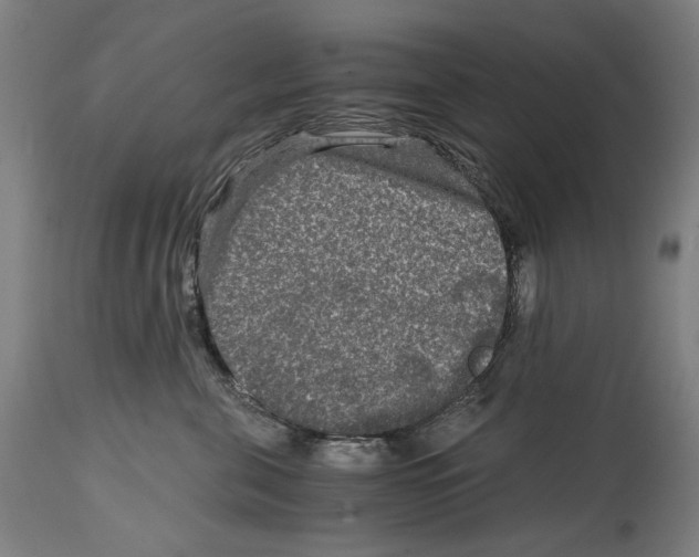 X0000114390571200911131345