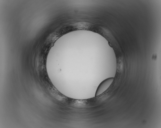 X0000114390573200911131345