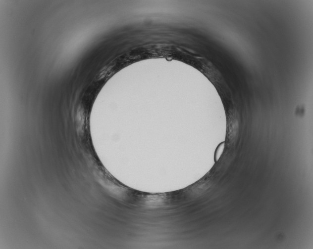 X0000114390574200911131345