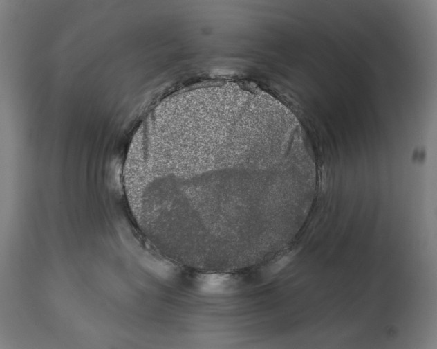 X0000114390575200911131345