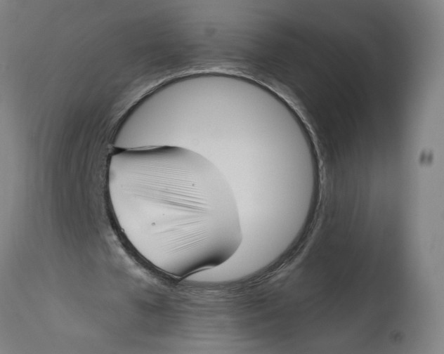 X0000114390577200911131345