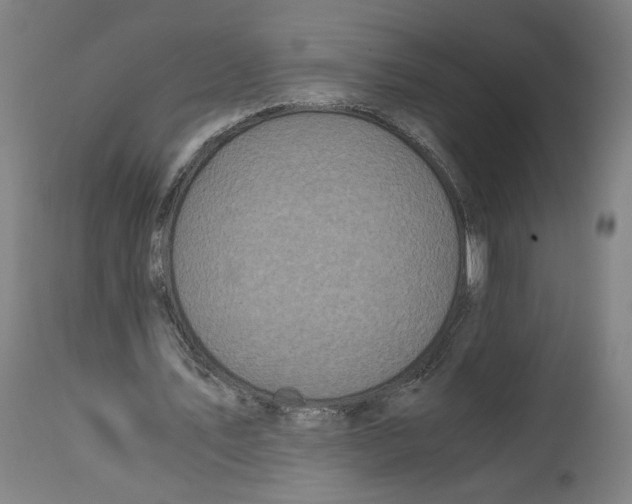 X0000114390579200911131344