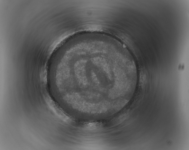 X0000114390584200911131344