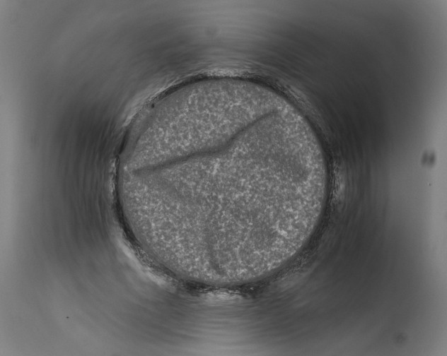 X0000114390586200911131344