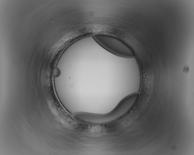 X0000114390587200911131344