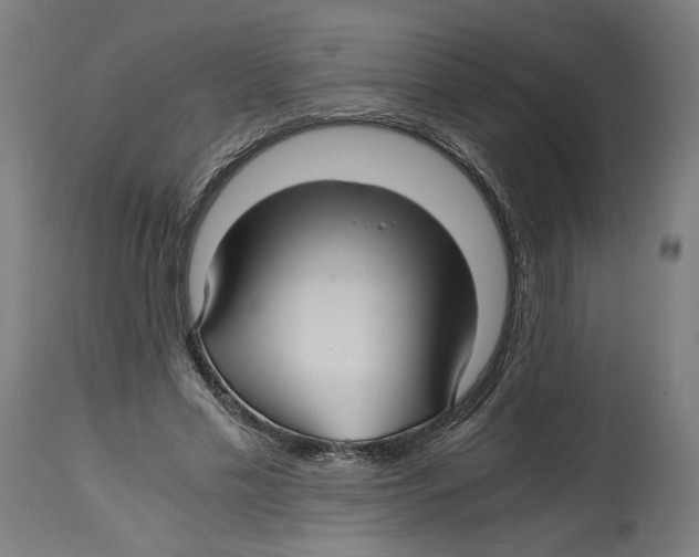 X0000114390589200911131344