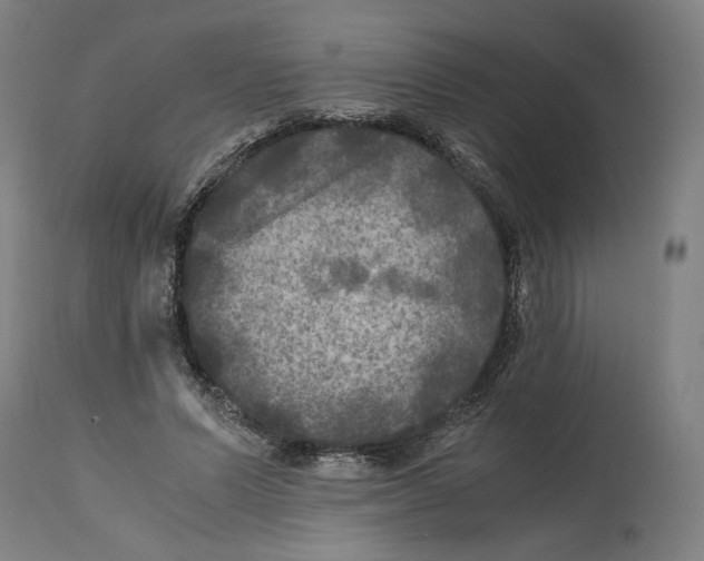 X0000114390591200911131344