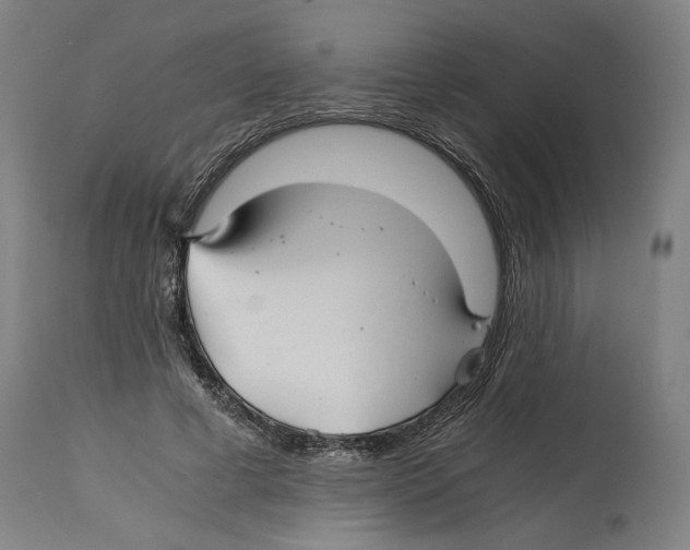 X0000114390593200911131344